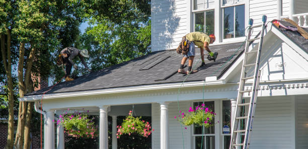 Best Roof Moss and Algae Removal  in Orofino, ID